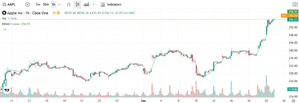 ACE CAPITAL 2 screen