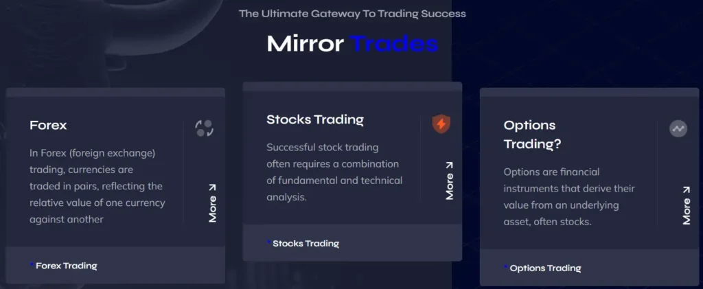 Bit Fund Flow Investment 1 screen