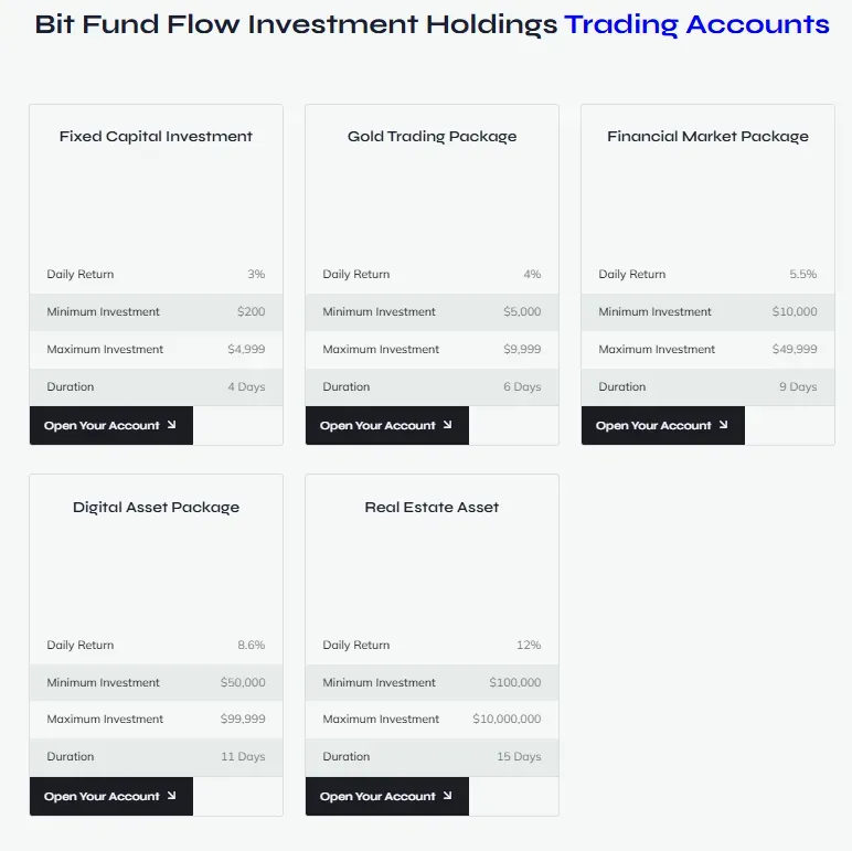 Bit Fund Flow Investment 2 screen