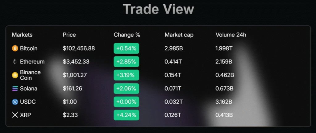 Vintario Invest 1 screen