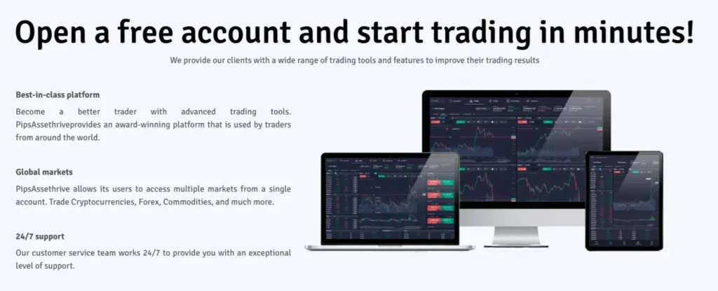 PipsAssethrive 2 screen