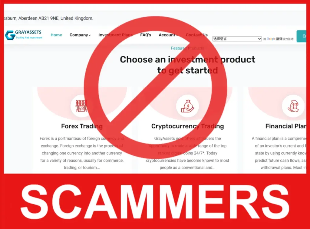 GrayAssets face screen