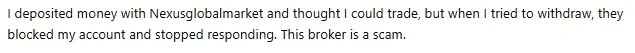 Nexusglobalmarket 1 screen