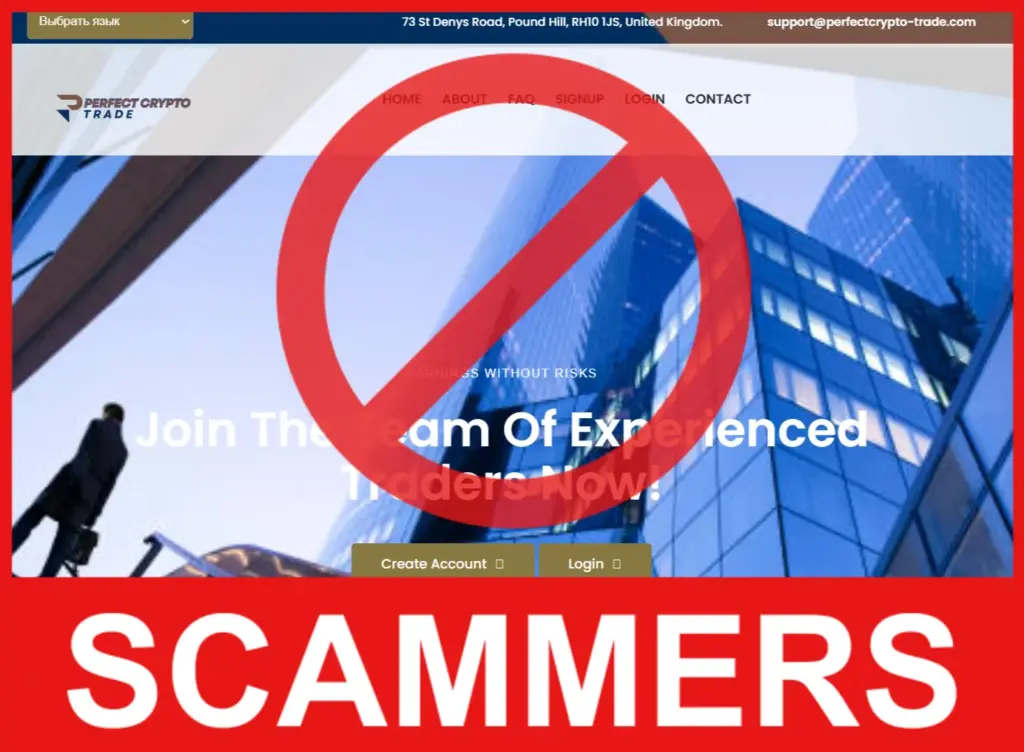 Perfect Crypto Trade face screen