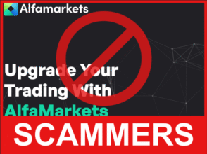 AlfaMarkets front side