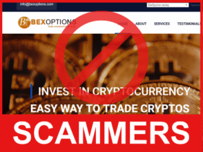 Bex Options front side