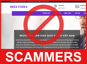 NEEXFOREX front side