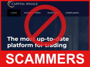 Capital Whale frotn side