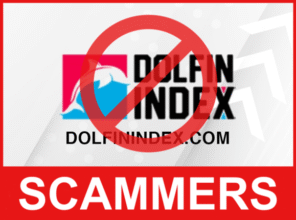 DolfinIndex front side