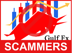 Gulf FX front side