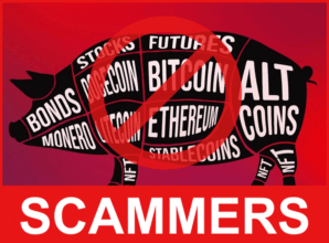 Pig Butchering front side