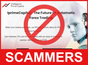 Intelligence Prime Capital frotn side