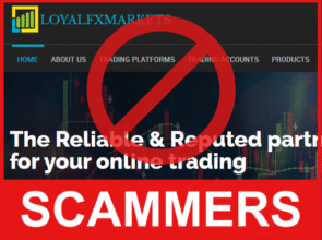 LoyalFXMarket front side
