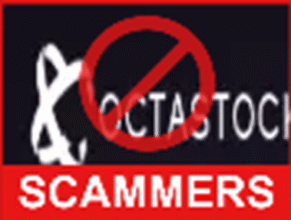 Octa Stocks FX front side