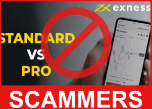 ExnessFox frotn side