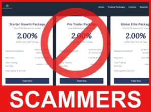 Global Hub Trade face screen