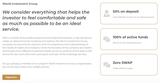 World Investment Group 2 screen