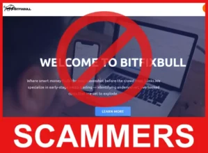 Bitfixbull face screen