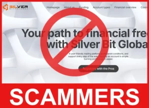 Silver Bit Global face screen