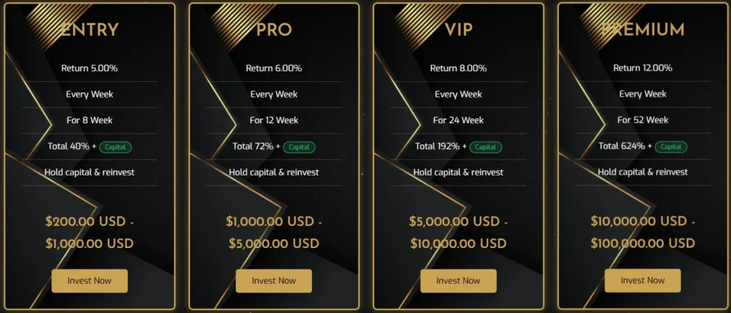 TheFinancialDojo 2 screen