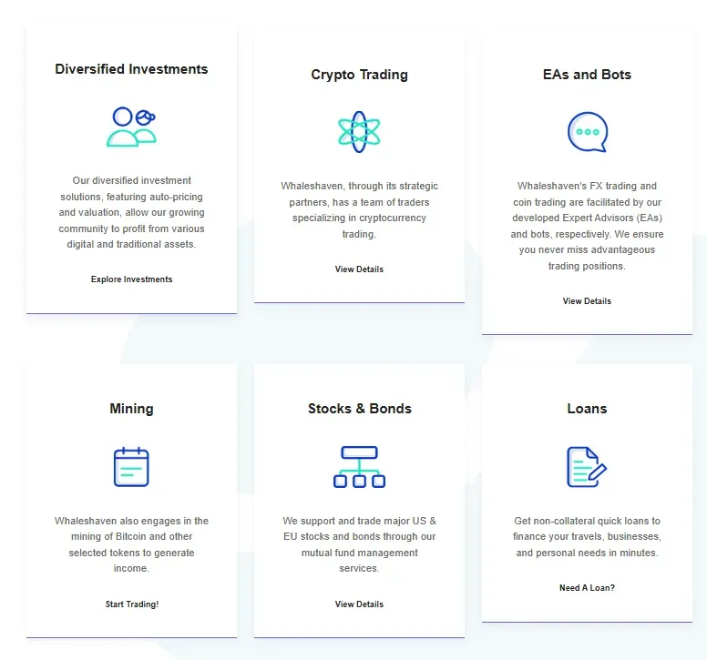 Whaleshaven 1 screen