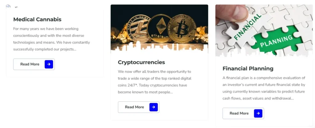 Musk Tesla Digital 1 screen