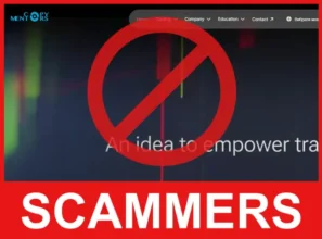 Copy Mentors face screen