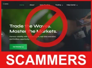 Lumoral Market Room face screen