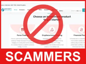 GrayAssets face screen